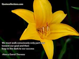 Henry David Thoreau Quotes 1